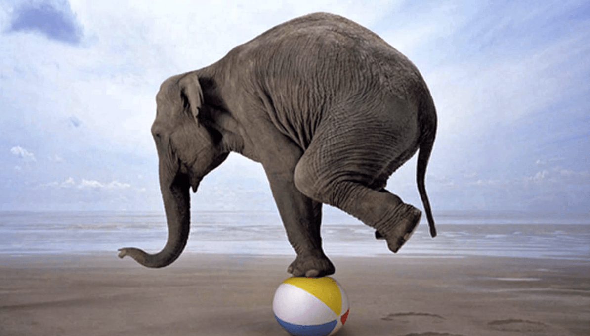 balancing act